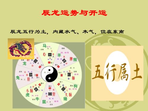 一、 辰龙运势总览:机遇与挑战并存