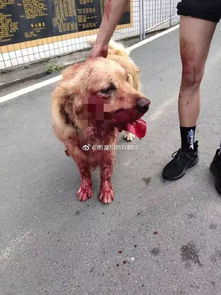 形敢神聚：从信息内核出发