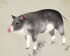 42-45岁：劫数年限