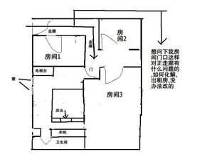 实用建议与注意事项