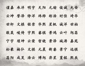 吟字在男孩名字中的文化底蕴实际价值