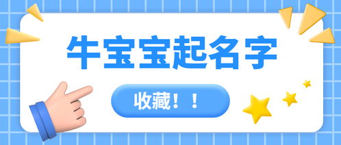 取名提议