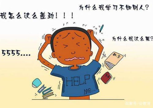 生肖对应的调理提议