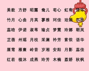 4. 袁乐菇