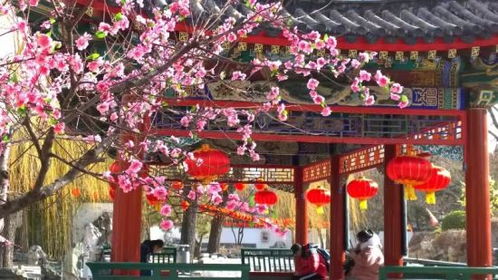 庙会现场：人间百态大观园
