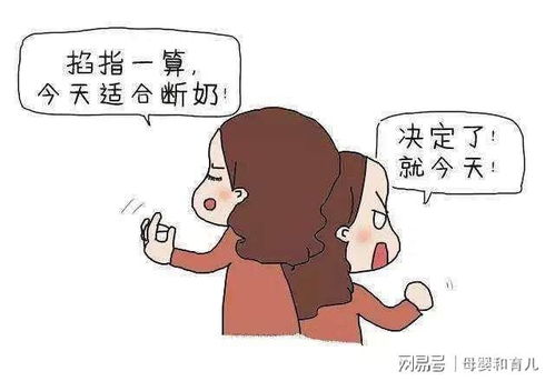 三、 宠物疗法：让较小毛球成为情绪调节器