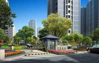 未来趋势展望（2026年）