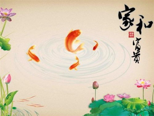 属羊男：温柔体贴