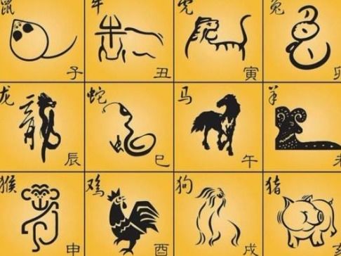 为哪些叫“狗”