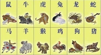 宜配生肖（较大吉）