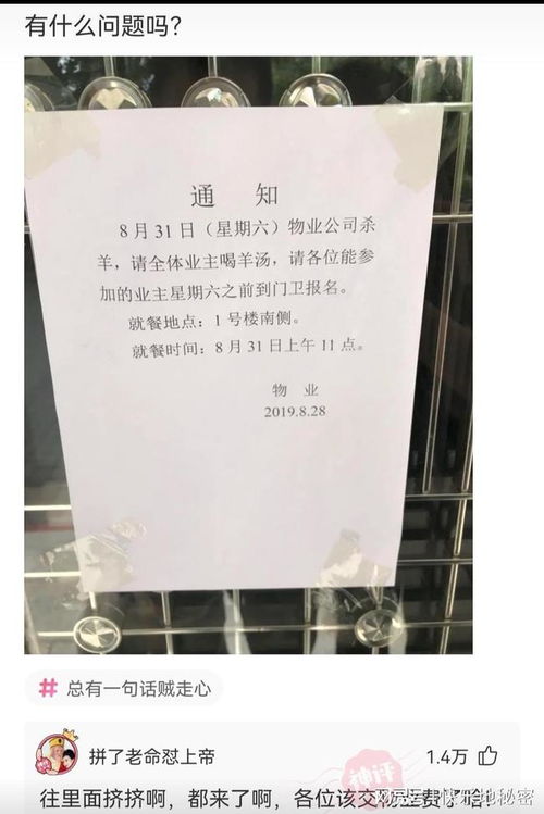 前言——别说我不提醒你