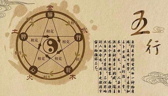 那么“细”当前这个字能不能用？（乱入的话题）