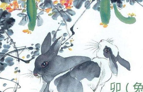 哪个生肖的动物算盘打得特别精明？