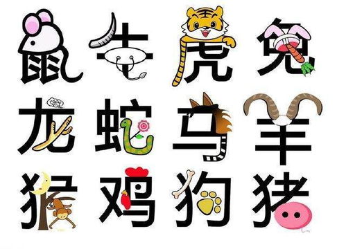 属兔：沟通较高手