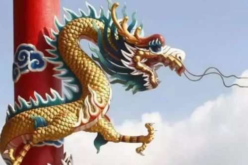 属龙女性群体的性格特点