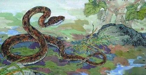 4. 现实版奇幻：《欲·望·谷》篇