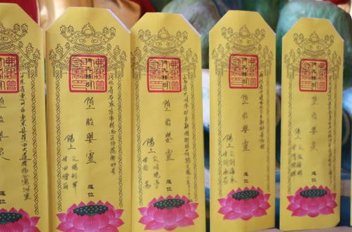 2026年春季天气与阴阳五行