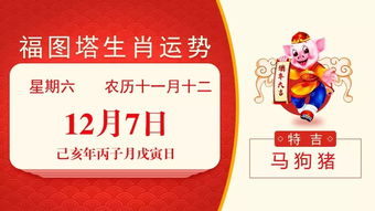 今后运势预览