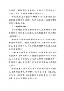 专业支持与个性化提议