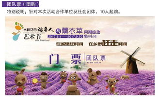 游玩体验：惊喜连连还是失望透顶？