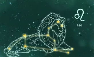 星座关系里的常见模式：宠炎热爱还是竞逐？