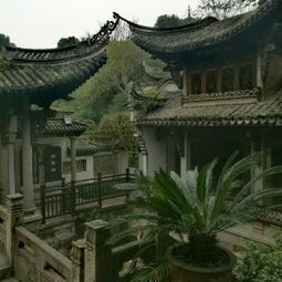 门票购买小技巧