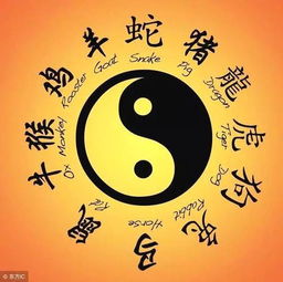 辉字的吉凶解析