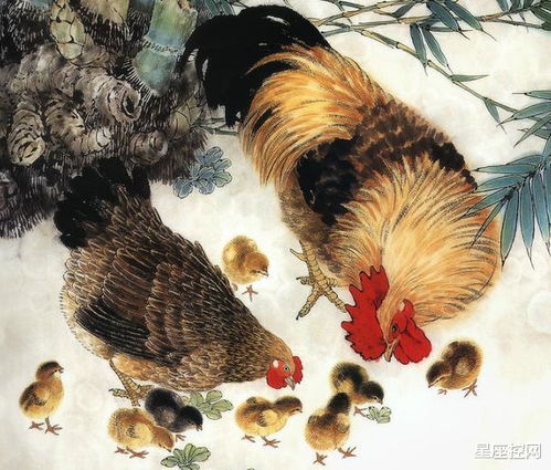 性格急切， 简单发脾气