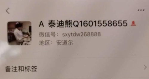1. 墨香四溢的名字