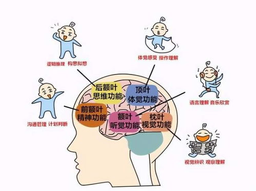 心理层面的解读