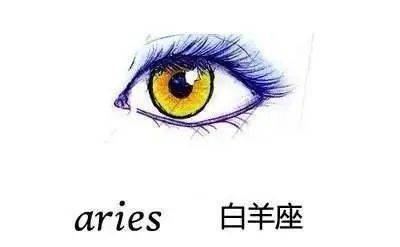 天秤座女性群体：