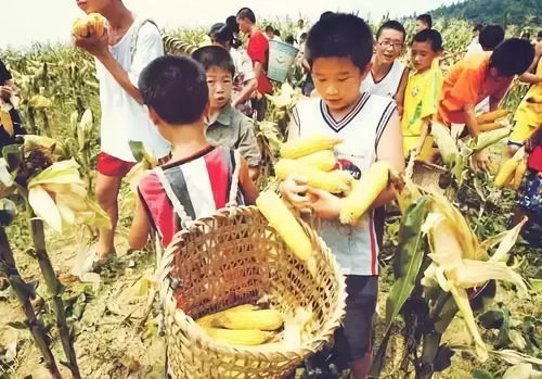 恋炎热爱中的红绿灯