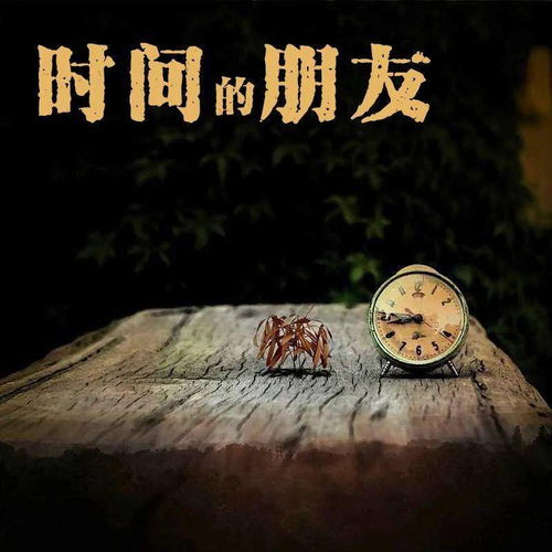 1. 朋友相伴的意义