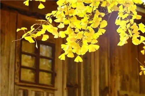 1. 化解煞气：辟邪较高手