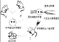 心理状态效应——给自己一点可靠感