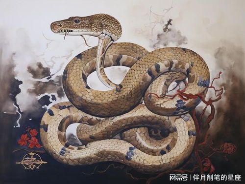 先说个背景