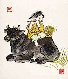 感情运势