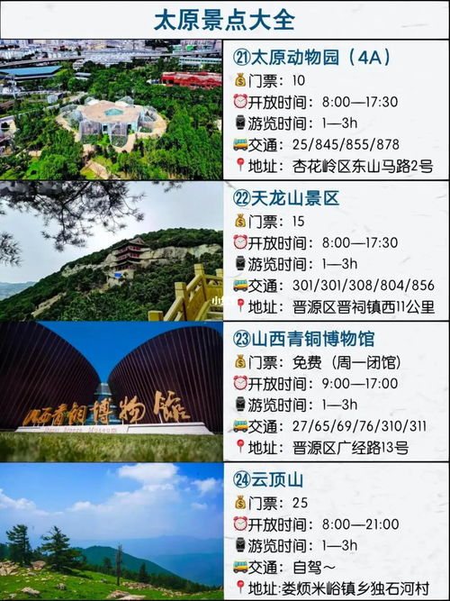 门票与现实博弈
