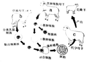 c）风水调整——创立积极气场