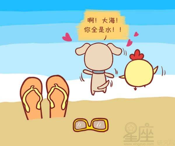 与属马女性群体的搭配