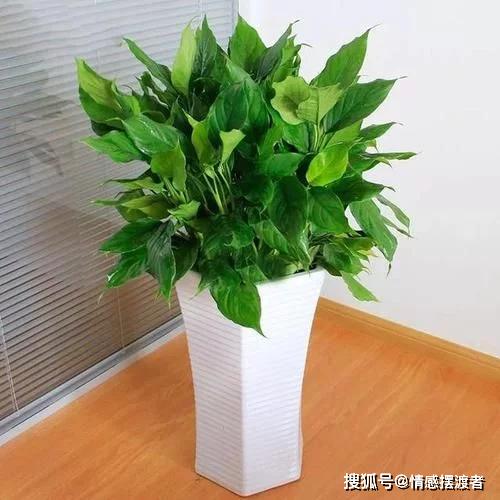 先说说这“风水”到底是个啥