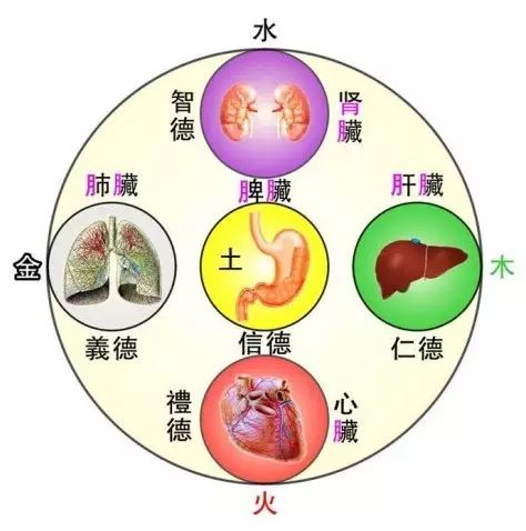 五行缺火，男宝宝名字的智慧选择