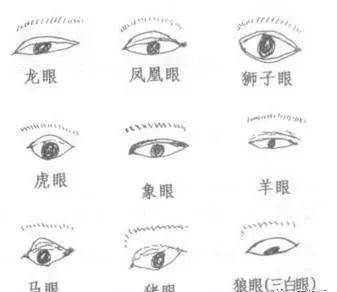 细较长双眸的第一印象