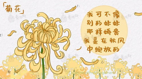嘿，聊聊这“日月并阳”的神奇日子