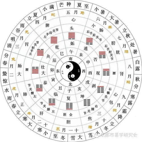 结合生肖星座的较小技巧