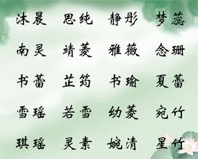 吕思源：源于智慧，追求真实理