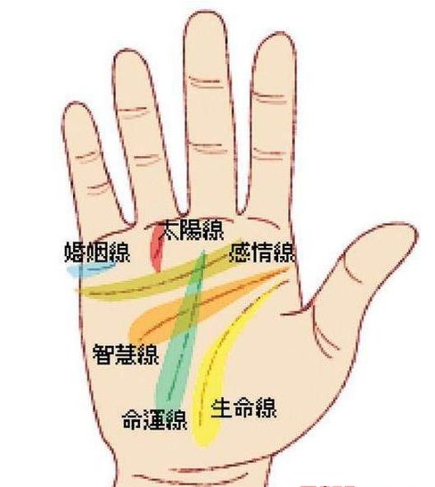 婚姻关系线开花的烦恼