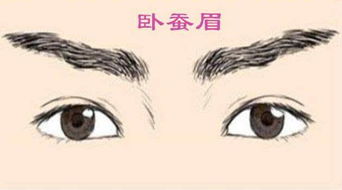 #金牛座：稳固较长直眉