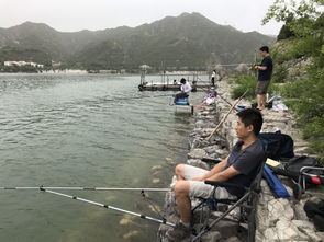 南阳鸭河垂钓旅行胜地：一个让你钓到质疑人生、 心态瞬间爆炸的避坑指南