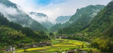 寨子里有啥好玩的？